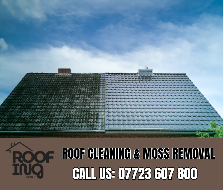 Roof cleaning and moss removal in Polperro